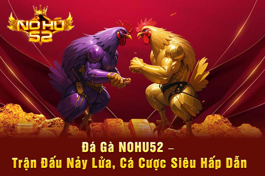 Đá Gà NOHU52 – Trận Đấu Nảy Lửa, Cá Cược Siêu Hấp Dẫn