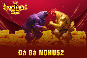 Ảnh đại diện bài viết đá gà NOHU52